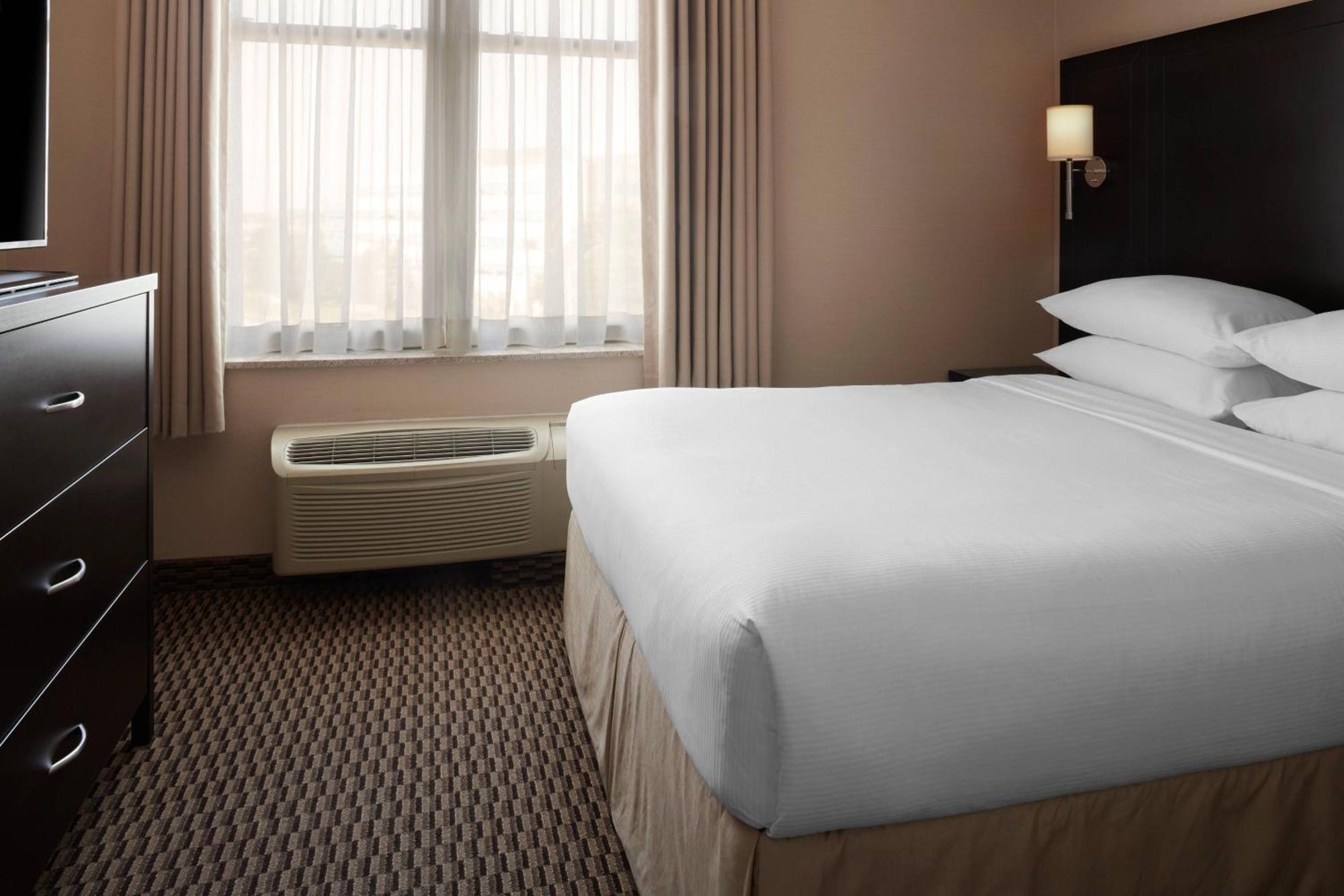 One-Bedroom Suite Queen Bed Sofa Bed,1415695275:JPEG